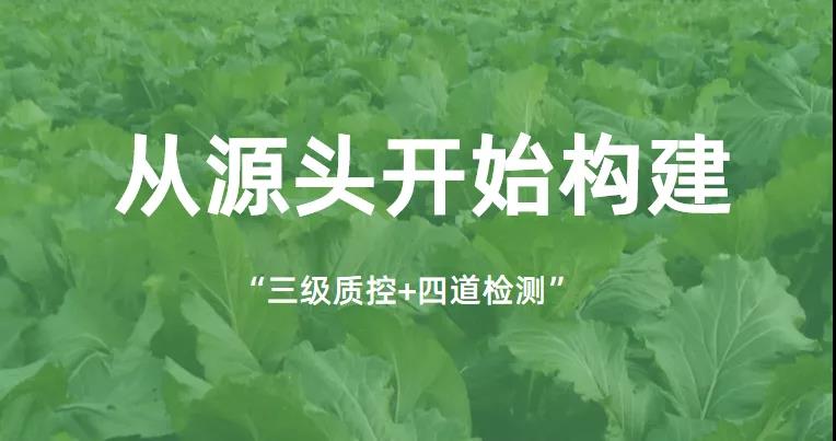 康来福源头构建