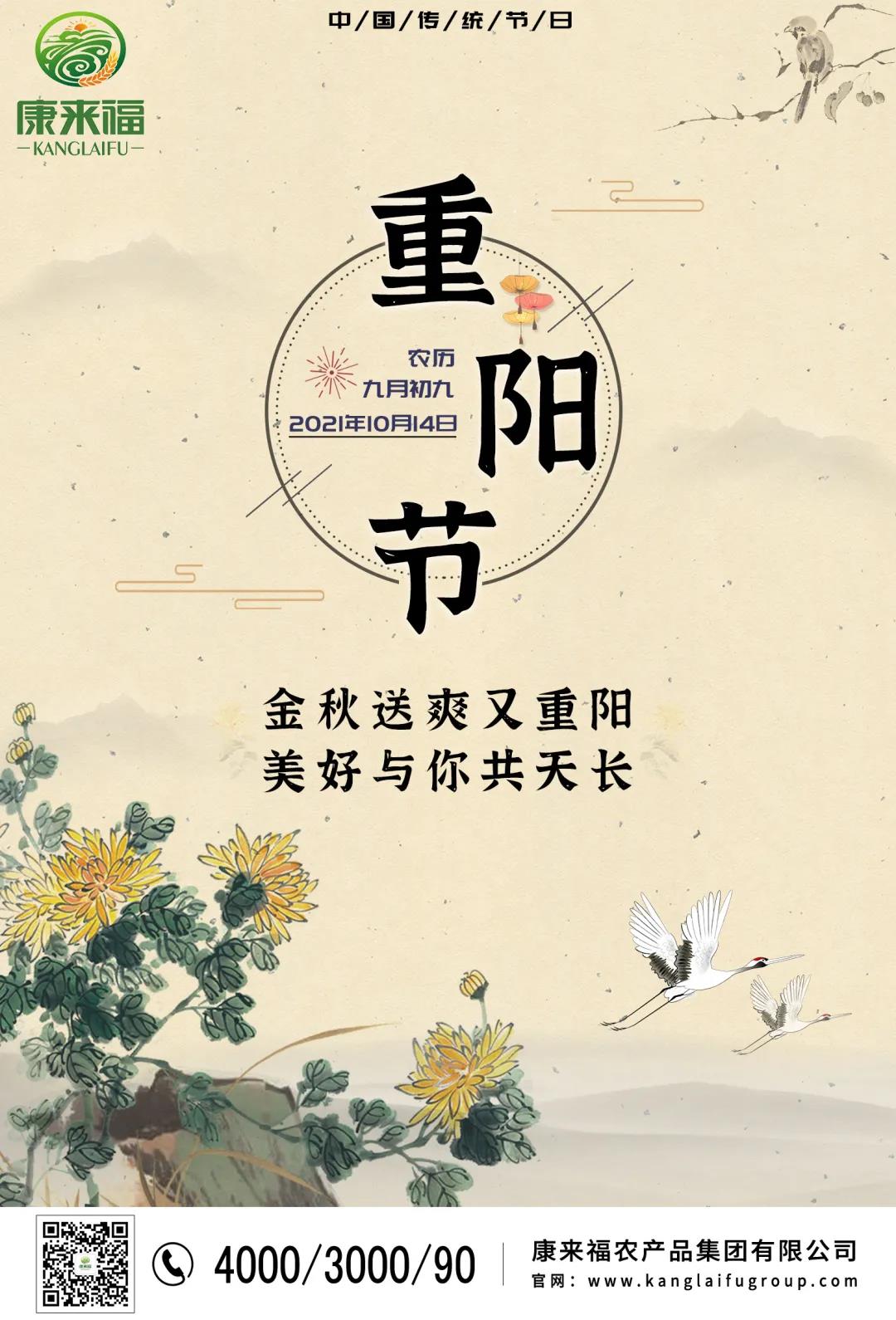 重阳节海报.jpg