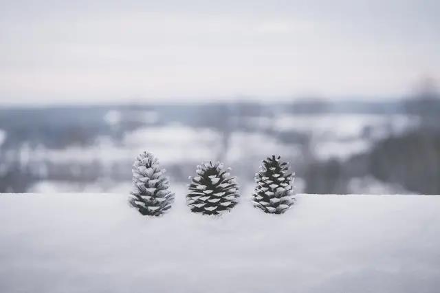 小雪至，除了观赏雪景之外，各地美食自然不能放过！