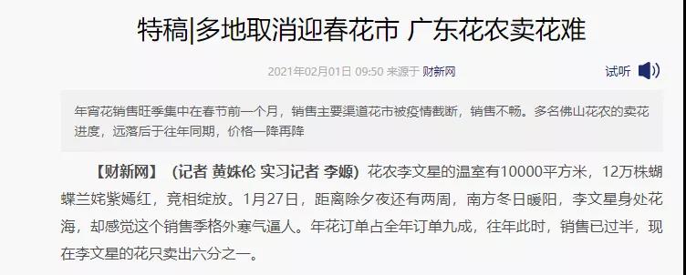 桃花新闻