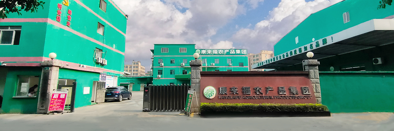 康来福农产品集团全景图