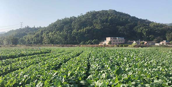 广州增城基地